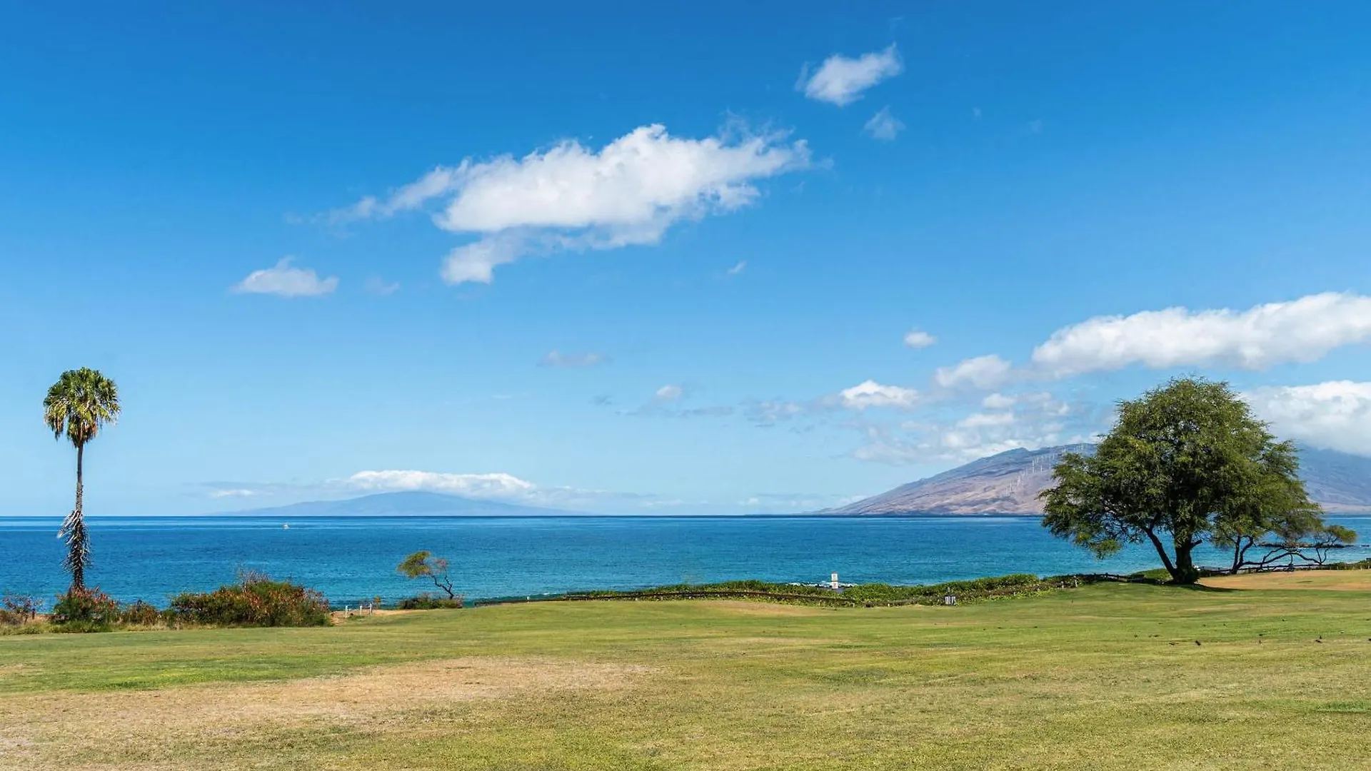 Maui Banyan Q-109 Apartment Wailea