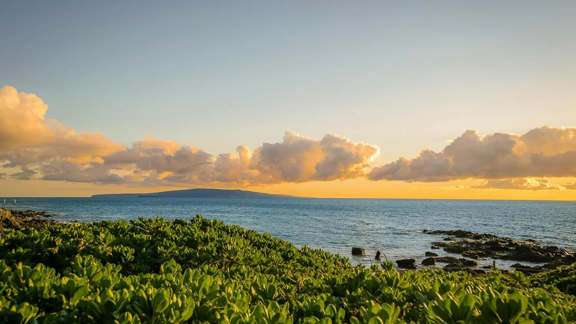 Maui Banyan Q-109 Apartment Wailea  United States
